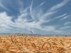 XIV Niedziela Zwykła (rok C), data 6.07.2025 – komentarz do Ewangelii