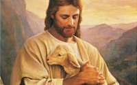 IV Niedziela Wielkanocna, rok B, 21.04.2024 r. – komentarz do Ewangelii