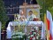 Zakończenie oktawy Bożego Ciała w Diecezjalnym Sanktuarium św. Rocha w Mikstacie