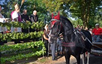 Zwierzęta u mikstackiego św. Rocha pobłogosławione