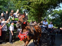 Zwierzęta u mikstackiego św. Rocha pobłogosławione